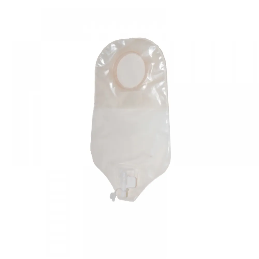 Convatec Colostomy Bag, Model Number/Name: Esteem Surfit at Rs 450